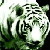 :iconThe-White: