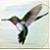 :iconthe-winged-wolf:
