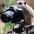 :iconthe-zoo-guy: