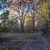 :iconthe009: