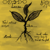 :iconthe0herbalist: