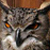 :iconthe0wl:
