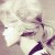 :iconthe16thfloor: