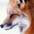 :iconthe1artfulfox:
