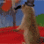 :iconthe1saga: