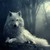 :iconthe5thmarauder106: