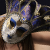 :iconthe6thstring: