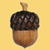 :icontheacornacademy: