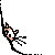 :icontheamazingchubbycat: