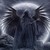 :icontheangelofdeath88: