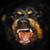 :icontheanimal1970: