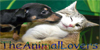 group avatar