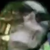 TheAntiVentus :icontheantiventus: