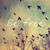 :icontheaprilglow: