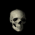 :icontheash: