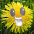 :icontheawesomemowmow:
