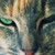 :icontheawhite:
