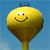 :icontheaznhybrid: