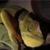:icontheazzerd: