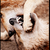 :iconthebeautyandbeast: