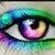 :iconthebestbeastlove: