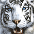 :iconthebestbookworm: