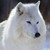 :iconthebigbadwolfgirl:
