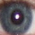 :iconthebiohunter: