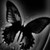 :icontheblackbutterfly1:
