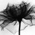:icontheblackflower: