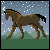 :icontheblackmare: