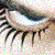 :icontheblackrainbow: