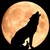 :icontheblackwolf9: