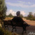 :icontheblackwolfwriter: