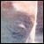 :iconthebreakingofday: