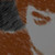 :iconthebrownboy: