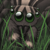 TheBugKing :iconthebugking: