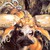 TheBull65 :iconthebull65: