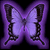 :iconthebutterfly: