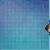 :iconthecalicotabby: