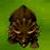 :iconthecampaigner: