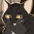 :iconthecandydragon: