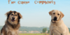 :iconthecaninecommunity: