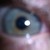 :iconthecaptaingibbs: