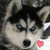 :iconthecartooncookie: