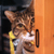 :iconthecat07: