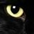 :iconthecat83: