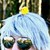 :iconthecatpimp: