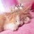:iconthecatprincess: