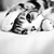 :iconthecatsmiao: